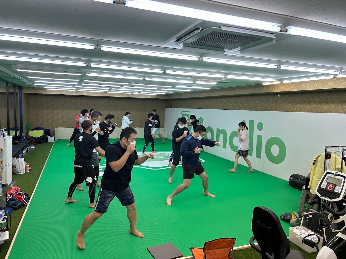 Concilio コンキリオ