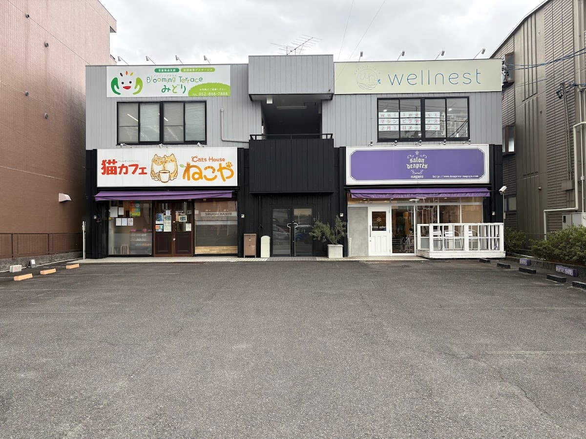 マシンピラティススタジオ wellnest 名古屋徳重店