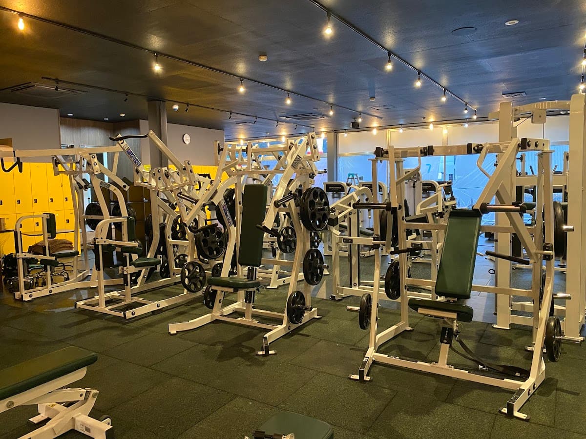 FORTIS FITNESS GYM