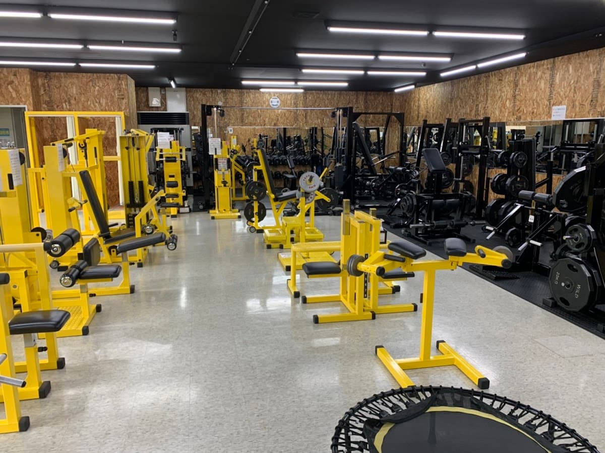 リアル筋力トレーニングGYM an
